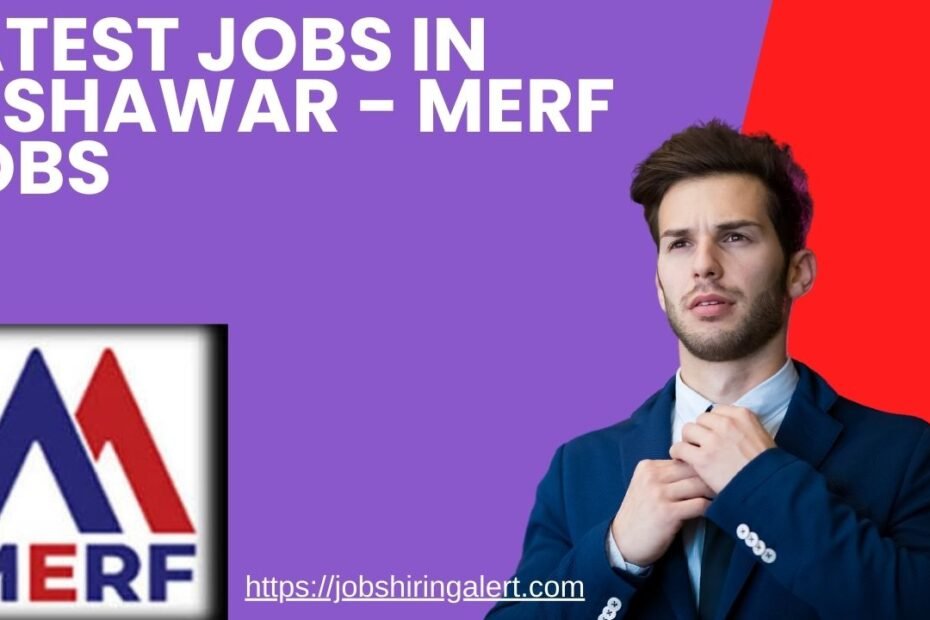 Latest Jobs in Peshawar - MERF Jobs